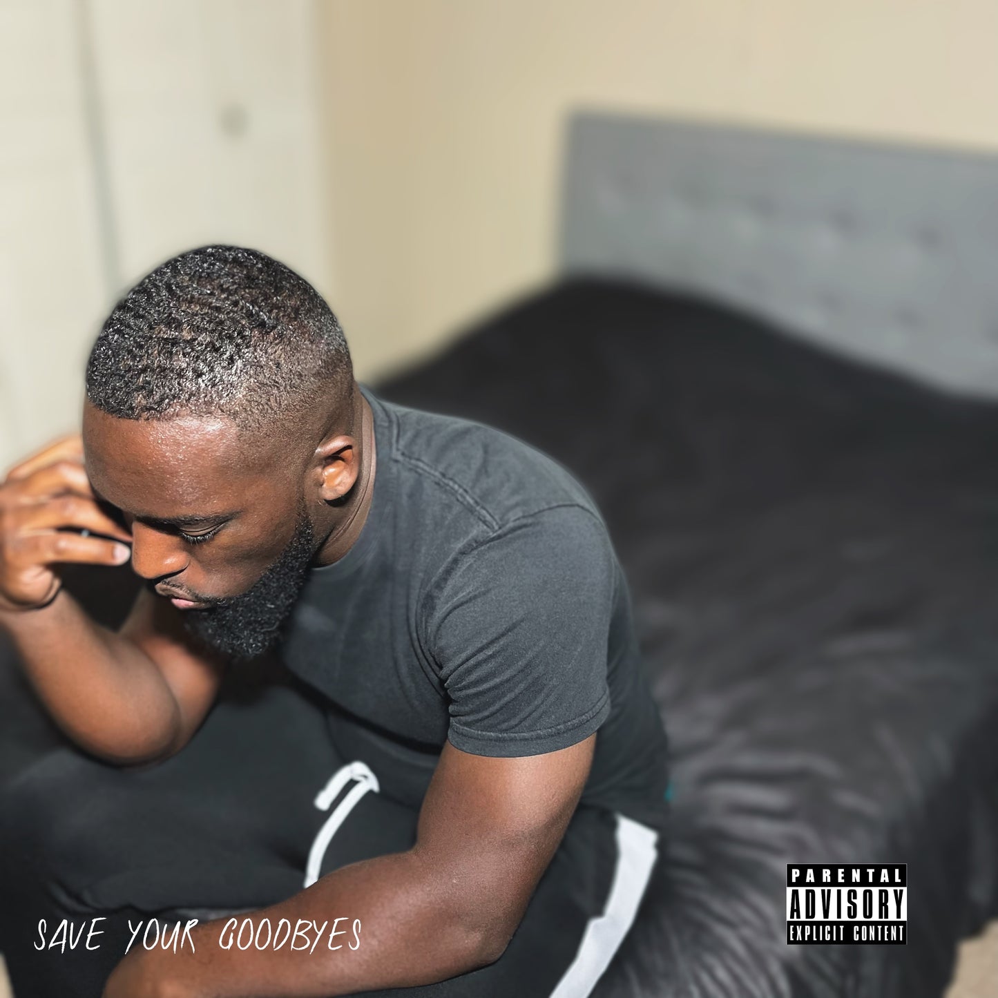 SAVE YOUR GOODBYES (album)